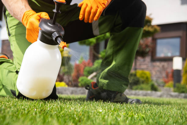Professional Pest Control in Ridge Manor, FL