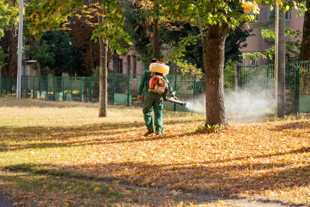 Best Cockroach Control Services  in Ridge Manor, FL