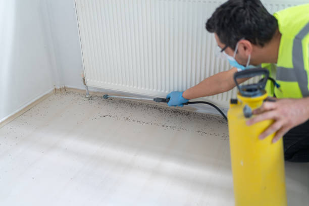 Best Best Pest Control Companies  in Ridge Manor, FL